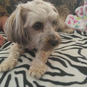 Meet your Posher, Alejandra